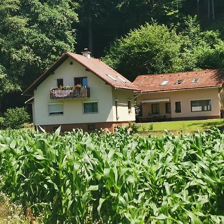 Ferienwohnung Regina Slovenj Gradec Exterior foto