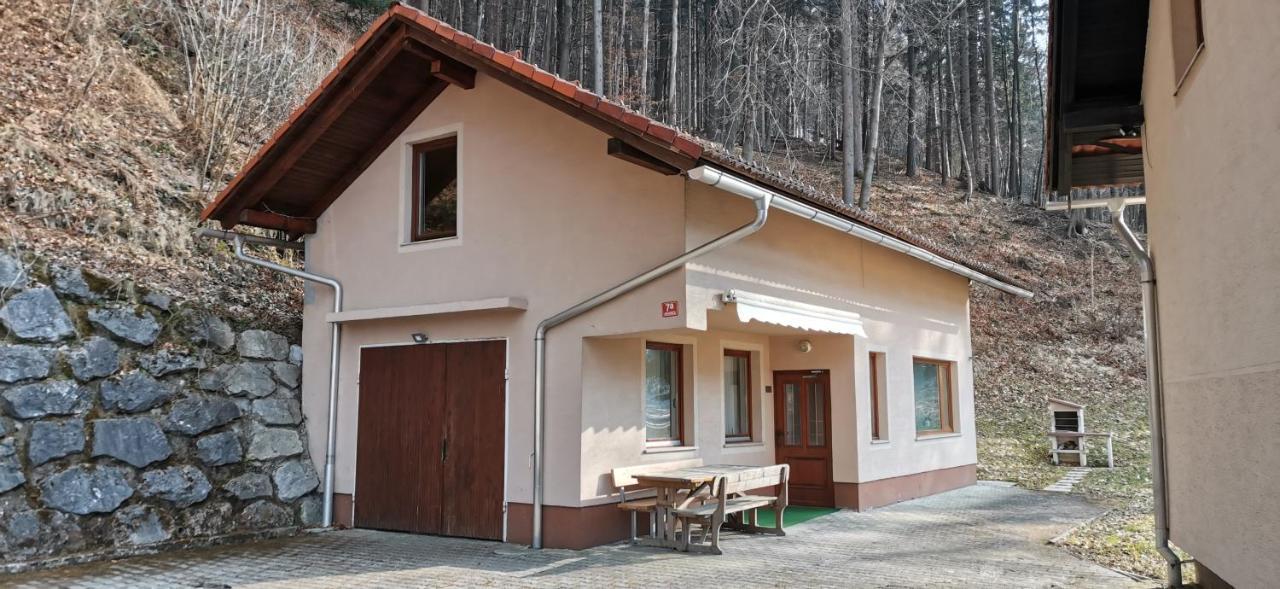 Ferienwohnung Regina Slovenj Gradec Exterior foto