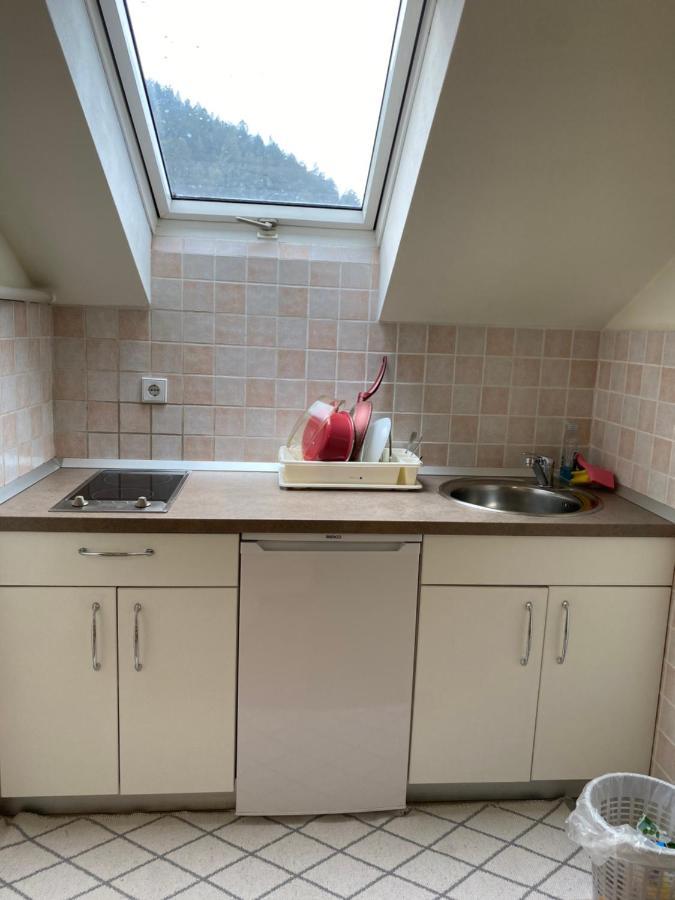 Ferienwohnung Regina Slovenj Gradec Exterior foto