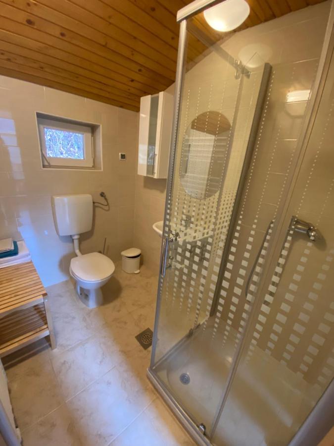 Ferienwohnung Regina Slovenj Gradec Exterior foto
